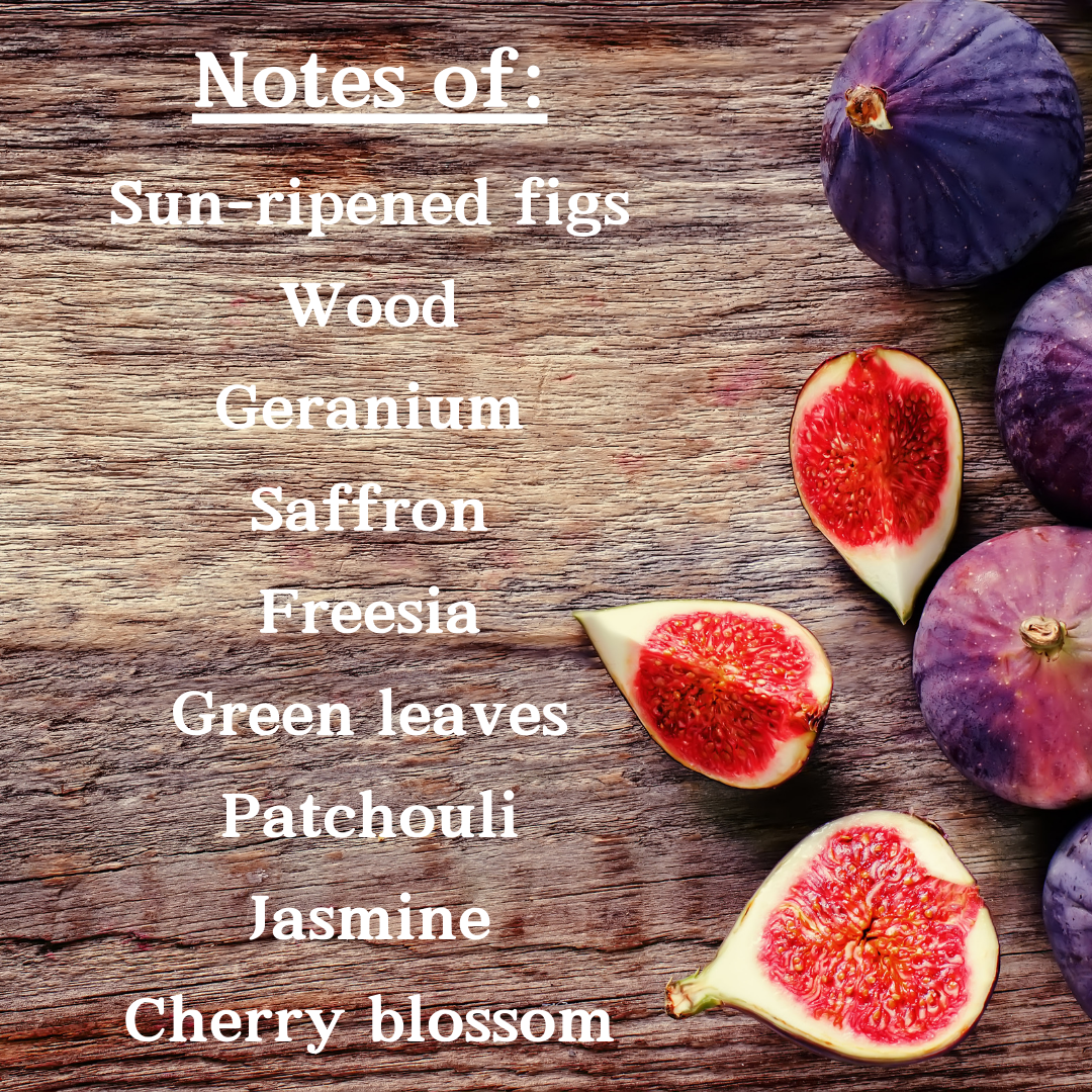 Fig Tree Candle | Grounding Natural Aroma