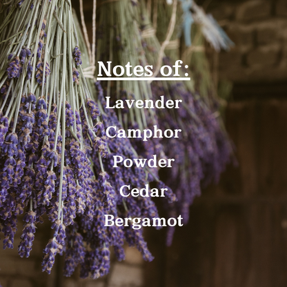 Sprigs of lavender with notes of lavender, camphor, powder, cedar, and bergamot.